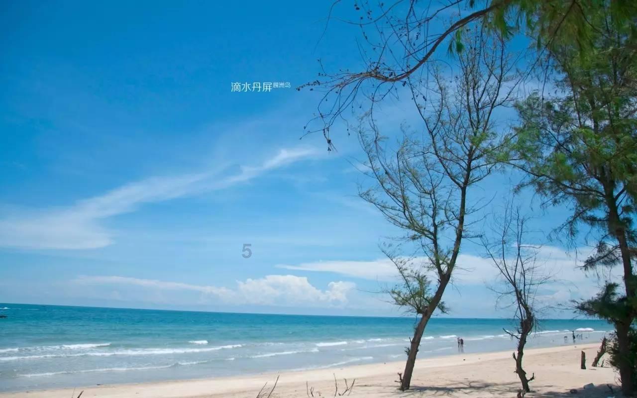 救援青龙